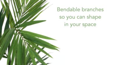 Image showing  5 ft. Artificial Kentia Palm Silk Tree