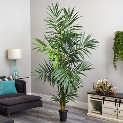 Image showing  7 ft. Kentia Palm Silk Tree, 5335