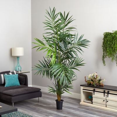 Image showing  7 ft. Kentia Palm Silk Tree, 5335