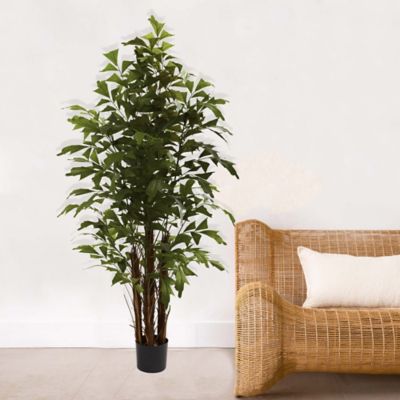 Image showing  6 ft. Artificial Fishtail Palm Tree