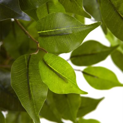 Image showing  5.5 ft. Artificial Ficus Tree, UV Resistant, Indoor/Outdoor