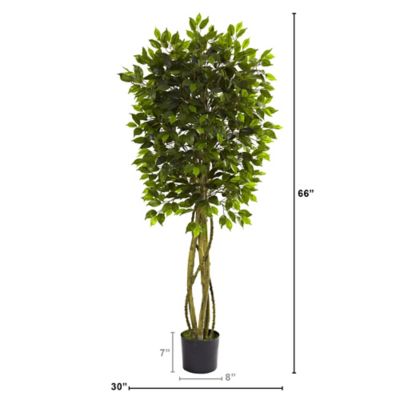 Image showing  5.5 ft. Artificial Ficus Tree, UV Resistant, Indoor/Outdoor
