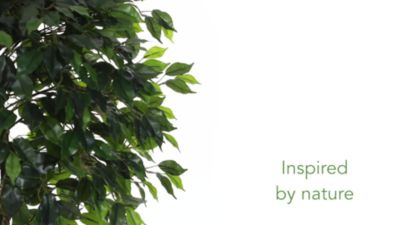 Image showing  5.5 ft. Artificial Ficus Tree, UV Resistant, Indoor/Outdoor