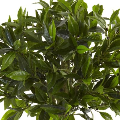 Image showing  3 ft. Artificial Bay Leaf Topiary, UV Resistant, Indoor/Outdoor