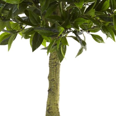 Image showing  3 ft. Artificial Bay Leaf Topiary, UV Resistant, Indoor/Outdoor
