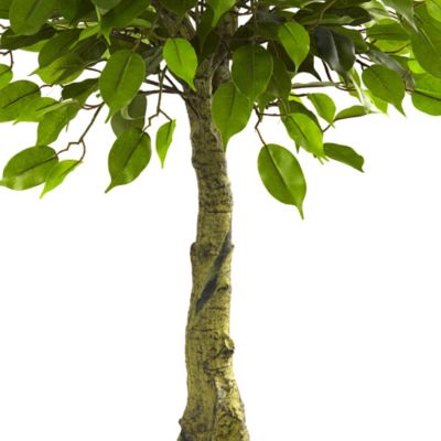 Image showing  3 ft. Artificial Ficus Tree, UV Resistant, Indoor/Outdoor