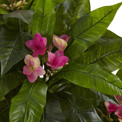 Image showing  5 ft. Artificial Plumeria Tree, UV Resistant, Indoor/Outdoor