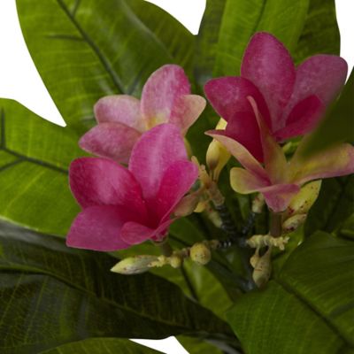 Image showing  5 ft. Artificial Plumeria Tree, UV Resistant, Indoor/Outdoor