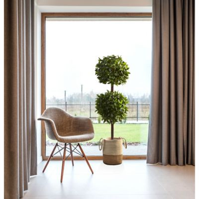 Image showing  6 ft. Artificial Sweet Bay Double Ball Topiary