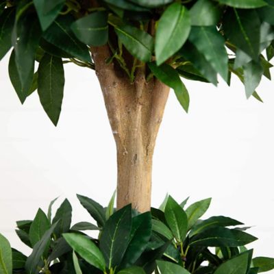 Image showing  6.5 ft. Artificial Sweet Bay Triple Ball Topiary