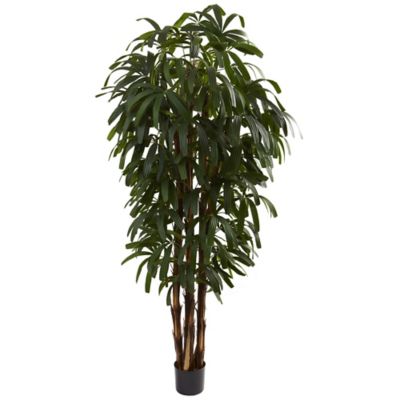 Image showing  6 ft. Artificial Raphis Palm Tree