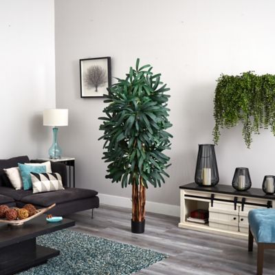 Image showing  6 ft. Artificial Raphis Palm Tree