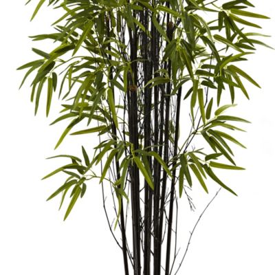 Image showing  5 ft. Artificial Black Bamboo Tree