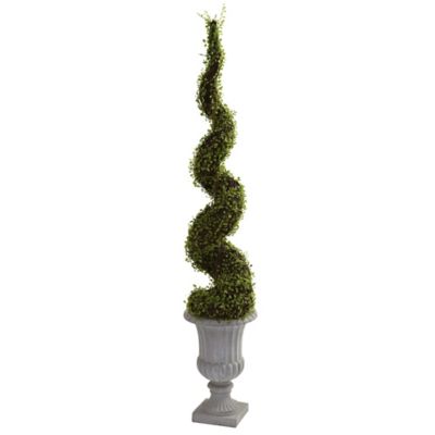 Nearly Natural 5 ft. Artificial Mohlenbechia Spiral Tree with Decorative Urn