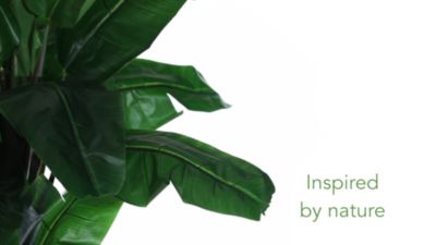 Image showing  7 ft. Artificial Giant Triple Stalk Banana Tree, UV Resistant, Indoor/Outdoor