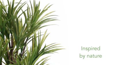 Image showing  5 ft. Artificial Dracaena Silk Tree