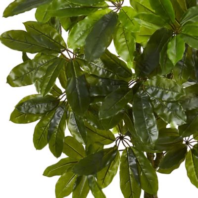 Image showing  5 ft. Artificial Schefflera Tree, UV Resistant, Indoor/Outdoor