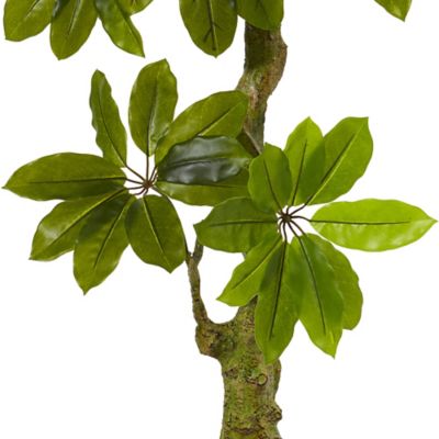 Image showing  5 ft. Artificial Schefflera Tree, UV Resistant, Indoor/Outdoor