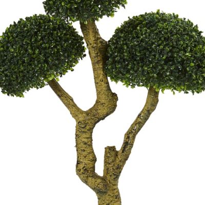 Image showing  5 ft. Artificial Five Head Boxwood Tree, UV Resistant, Indoor/Outdoor