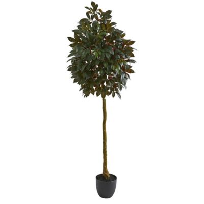 Nearly Natural 75 in. Artificial Capensia Ficus Tree