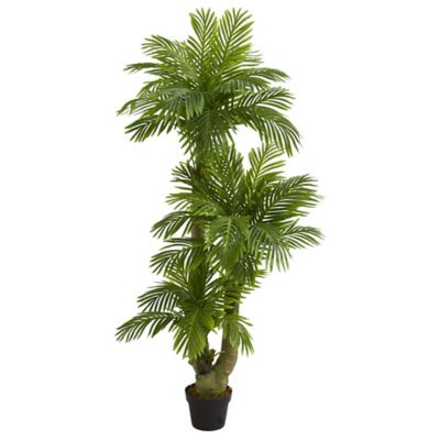 Image showing  5 ft. Artificial Triple Phoenix Palm Tree