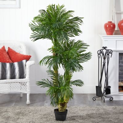 Image showing  5 ft. Artificial Triple Phoenix Palm Tree