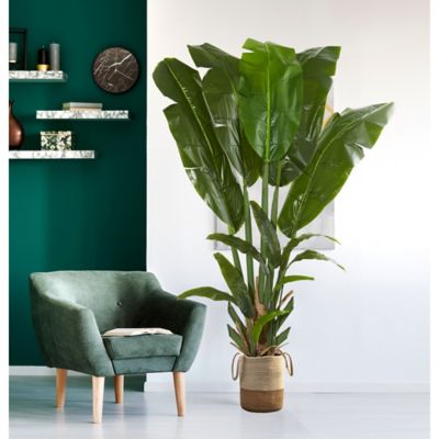 Image showing  8.5 ft. Artificial Giant Travelers Palm Tree