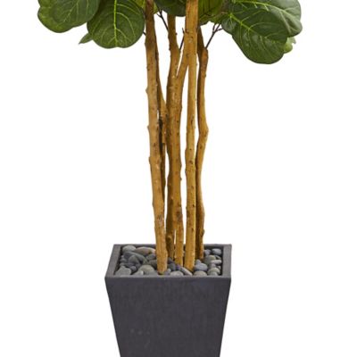 Image showing  7.5 ft. Artificial Fiddle Leaf Tree in Slate Planter
