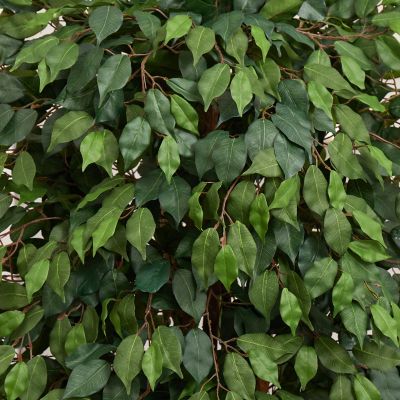 Image showing  6 ft. Artificial Ficus Tree in Decorative Planter