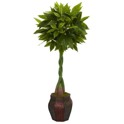 Nearly Natural 5 ft. Artificial Money Tree in Decorative Planter