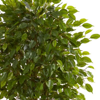 Image showing  6 ft. Artificial Braided Ficus Tree in Decorative Planter
