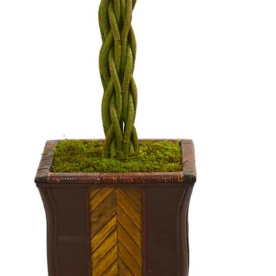 Image showing  6 ft. Artificial Braided Ficus Tree in Decorative Planter