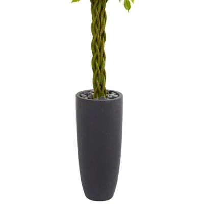 Image showing  6.5 ft. Artificial Braided Ficus Tree in Cylinder Planter, UV Resistant, Indoor/Outdoor