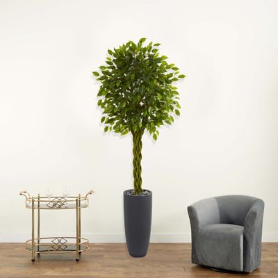 Image showing  6.5 ft. Artificial Braided Ficus Tree in Cylinder Planter, UV Resistant, Indoor/Outdoor