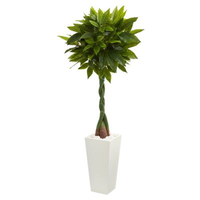 Nearly Natural Artificial 5.5 ft. Money Tree in White Tower Planter, Real Touch