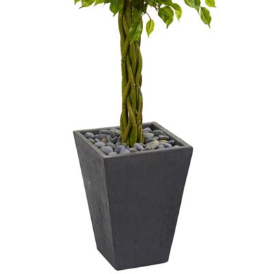 Image showing  5 ft. Artificial Braided Ficus Tree in Slate Planter, UV Resistant, Indoor/Outdoor