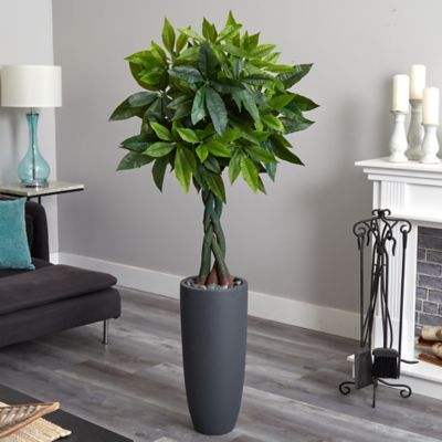 Image showing  6 ft. Artificial Money Tree in Gray Cylinder Planter, Real Touch