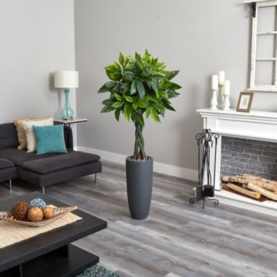 Image showing  6 ft. Artificial Money Tree in Gray Cylinder Planter, Real Touch