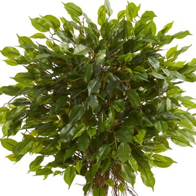 Image showing  5.5 ft. Artificial Ficus Tree in White Oval Planter, UV Resistant, Indoor/Outdoor