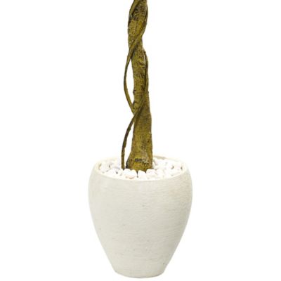 Image showing  5.5 ft. Artificial Ficus Tree in White Oval Planter, UV Resistant, Indoor/Outdoor