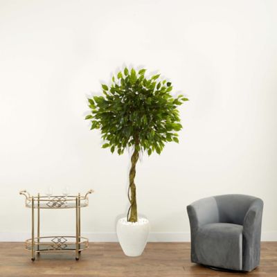 Image showing  5.5 ft. Artificial Ficus Tree in White Oval Planter, UV Resistant, Indoor/Outdoor
