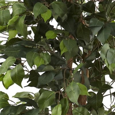 Image showing  6.5 ft. Artificial Ficus with Decorative Planter