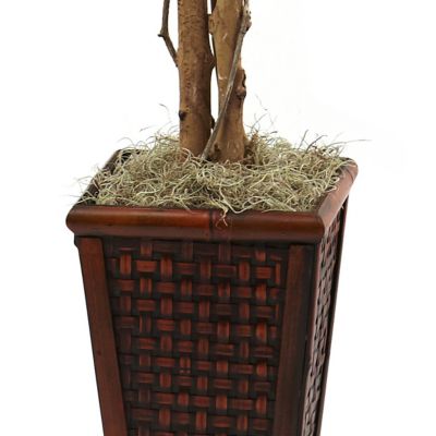 Image showing  6.5 ft. Artificial Ficus with Decorative Planter