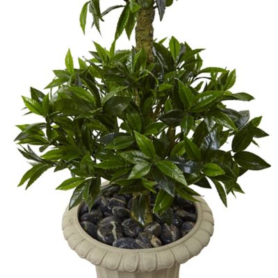 Image showing  5.5 ft. Artificial Triple Bay Leaf Topiary Tree in Urn, UV Resistant, Indoor/Outdoor