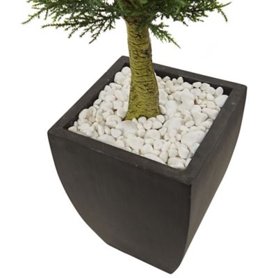 Image showing  4.5 ft. Artificial Cypress Topiary with Black Planter, UV Resistant, Indoor/Outdoor