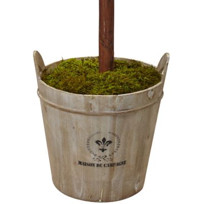 Image showing  6 ft. Artificial Double Ball Topiary Tree with European Barrel Planter