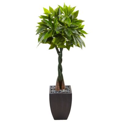 Nearly Natural 5 ft. Artificial Money Tree in Black Square Planter