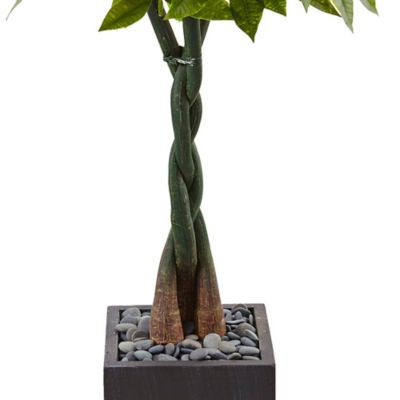 Image showing  5 ft. Artificial Money Tree in Black Square Planter