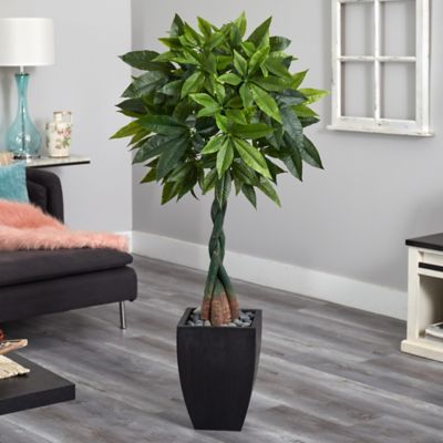 Image showing  5 ft. Artificial Money Tree in Black Square Planter
