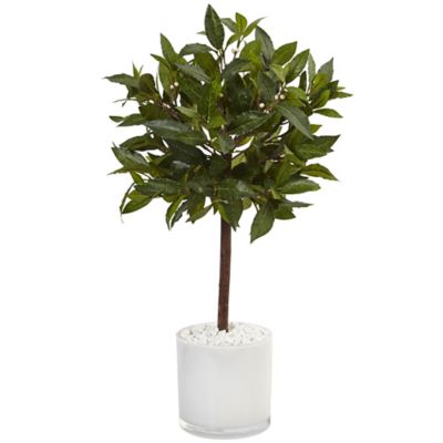 Nearly Natural 2 ft. Artificial Sweet Bay Tree in White Glossy Cylinder
